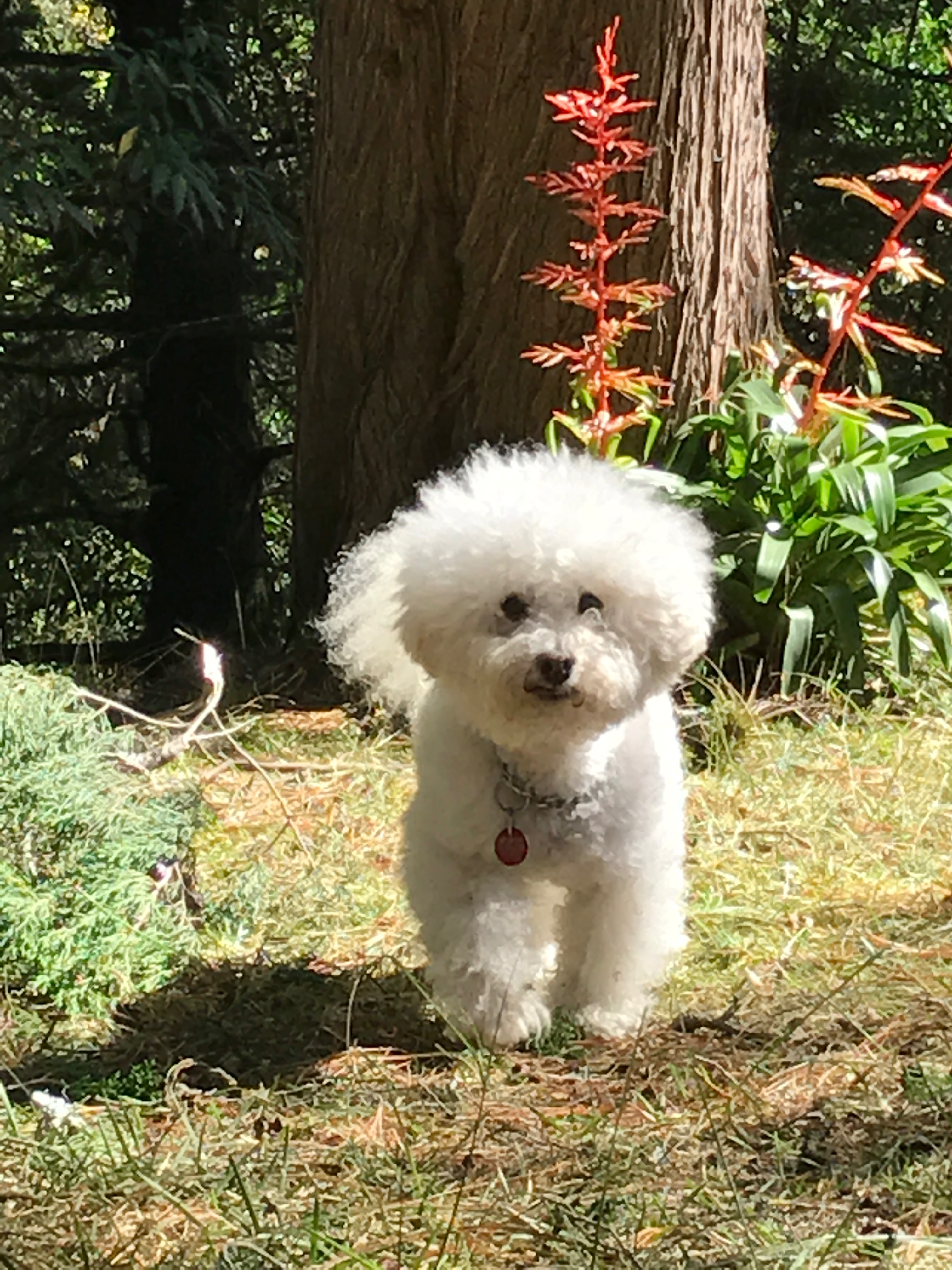 Clínicas de Psicología y Biorretroalimentación,