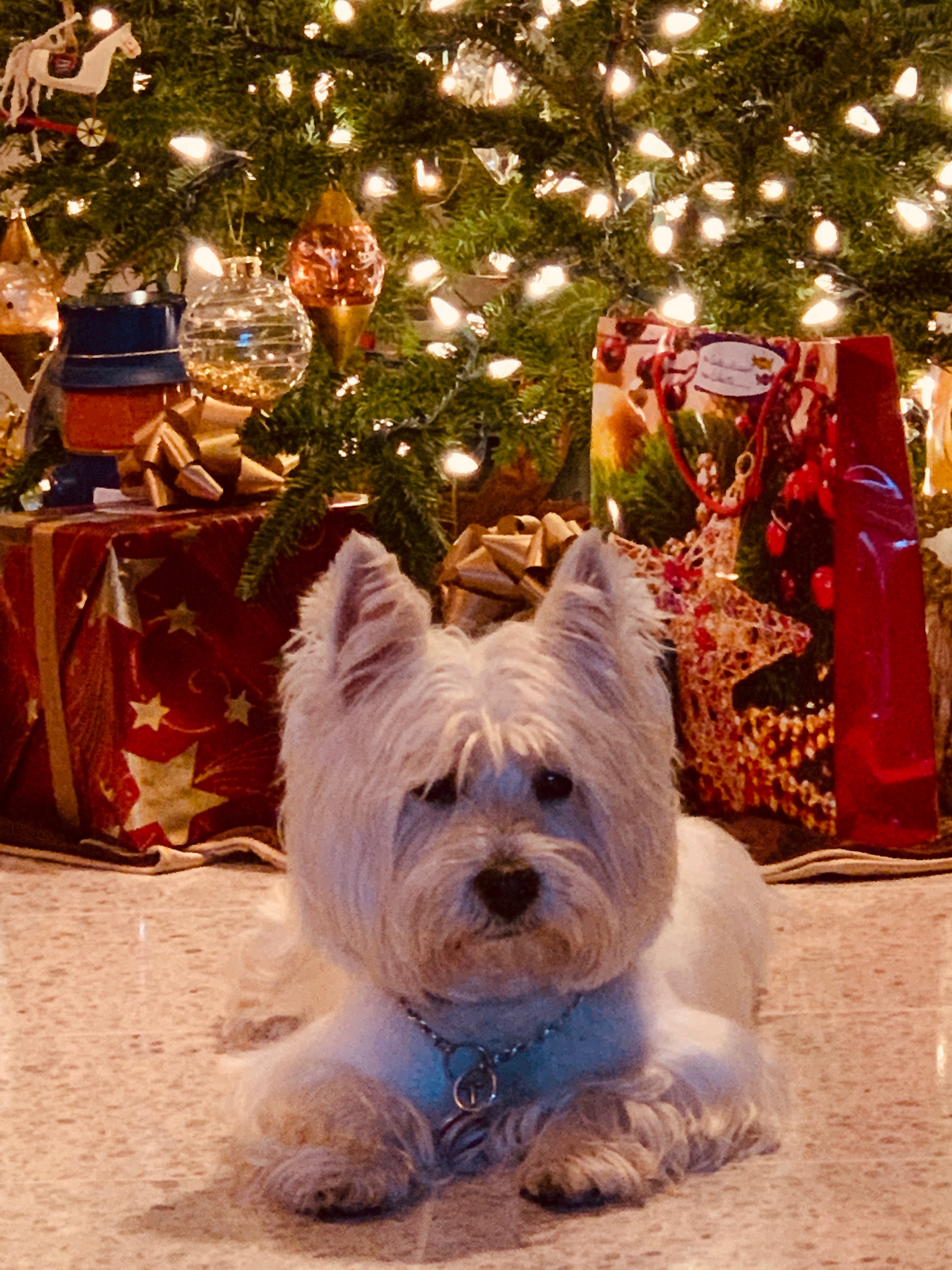 Clínicas de Psicología y Biorretroalimentación,