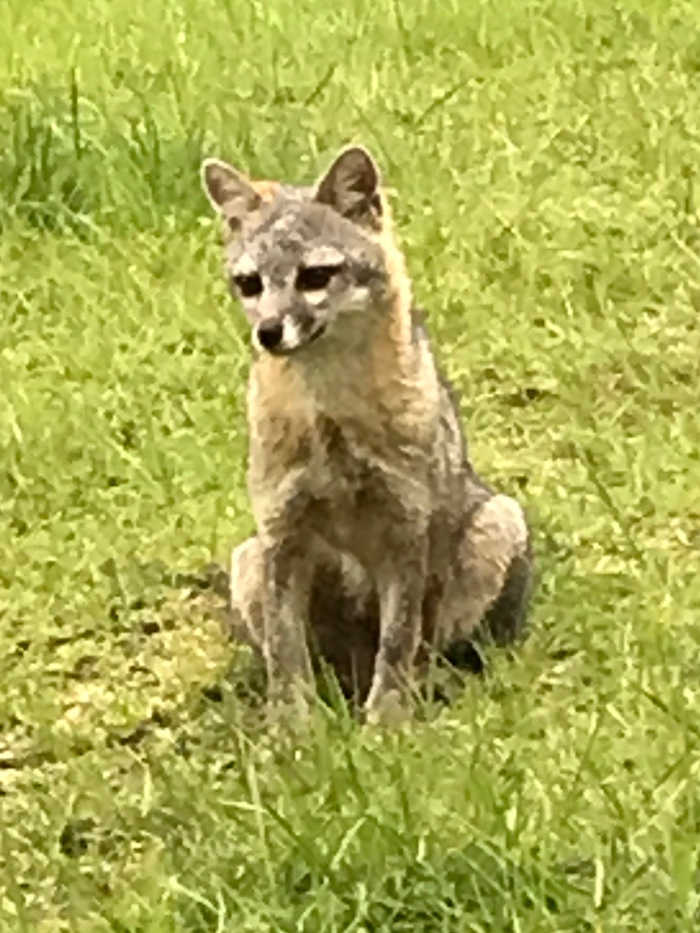 Clínicas de Psicología y Biorretroalimentación,