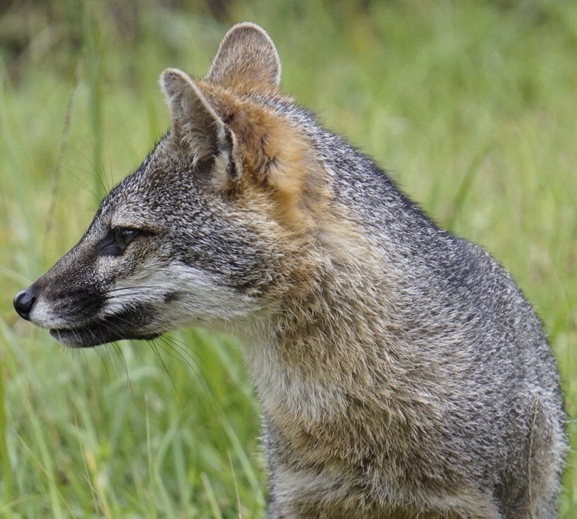 Clínicas de Psicología y Biorretroalimentación,