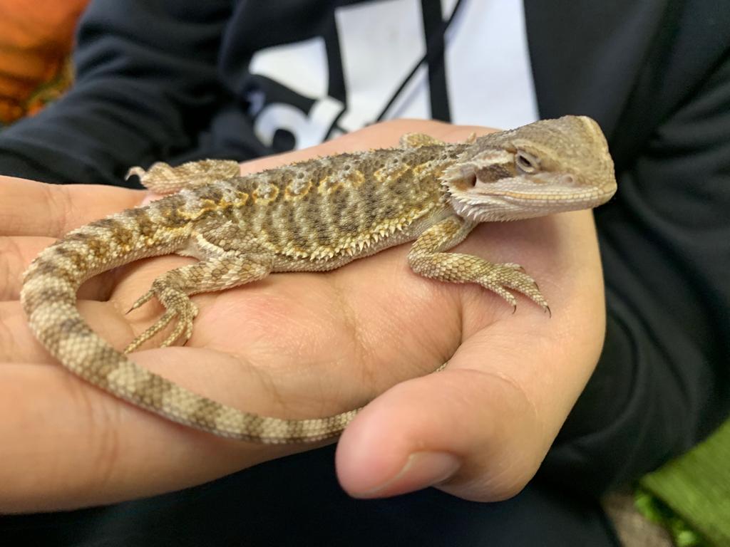 pet friendly - Guido con morgan, Clínicas de Psicología y Biorretroalimentación